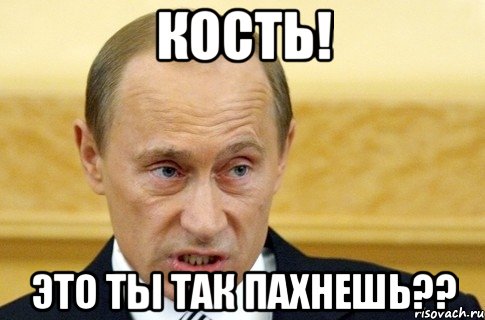 кость! это ты так пахнешь??, Мем путин