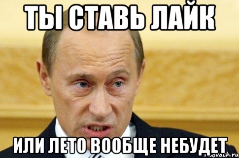 ТЫ СТАВЬ ЛАЙК ИЛИ ЛЕТО ВООБЩЕ НЕБУДЕТ, Мем путин