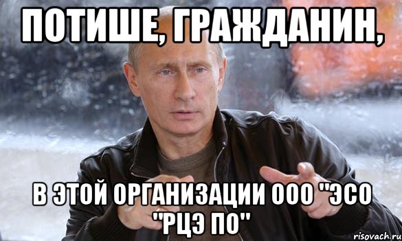 потише, гражданин, в этой организации ООО "ЭСО "РЦЭ ПО", Мем Путин