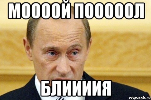 МООООЙ ПОООООЛ БЛИИИИЯ, Мем путин