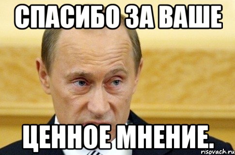 Спасибо за ваше ценное мнение., Мем путин