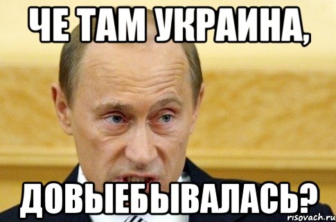 Че там Украина, Довыебывалась?, Мем путин