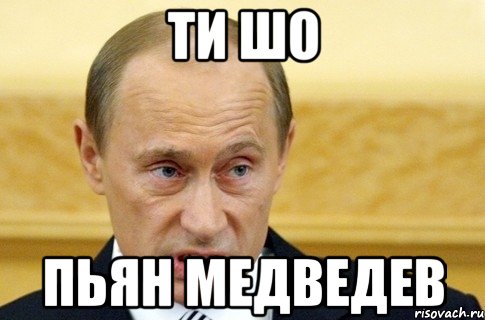 ти шо пьян медведев, Мем путин