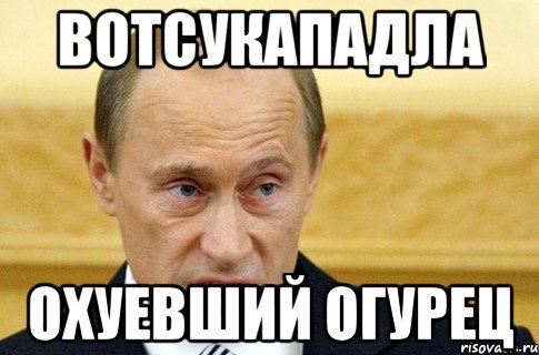 вотсукападла охуевший огурец, Мем путин