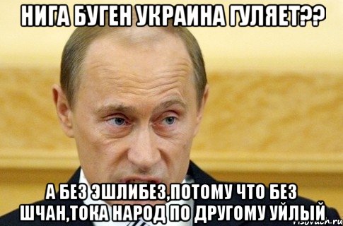 Нига буген Украина гуляет?? а без эшлибез,потому что без шчан,тока народ по другому уйлый, Мем путин