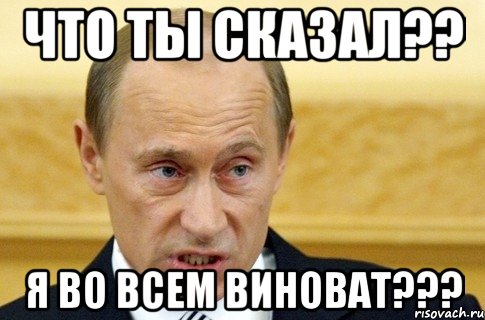 Что ты сказал?? Я во всем виноват???, Мем путин