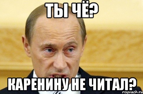 ТЫ ЧЁ? КАРЕНИНУ НЕ ЧИТАЛ?, Мем путин