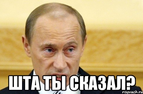  Шта ты сказал?, Мем путин