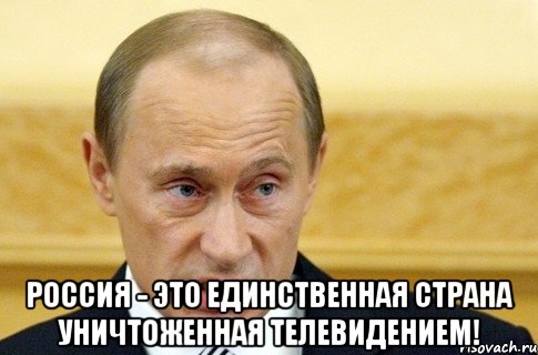  Россия - это единственная страна уничтоженная телевидением!, Мем путин