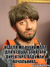 Неделя-ма очень мала для отдыха занятого директора. Падумай, начальника...