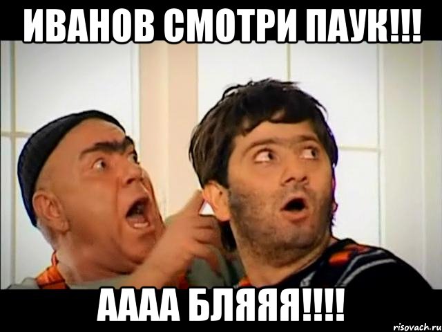 иванов смотри паук!!! аааа бляяя!!!!, Мем равшан