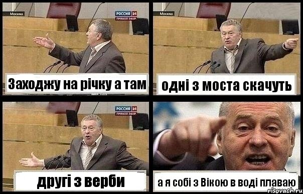 Заходжу на річку а там одні з моста скачуть другі з верби а я собі з Вікою в воді плаваю, Комикс с Жириновским