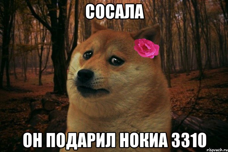 сосала он подарил нокиа 3310, Мем  SAD DOGE GIRL