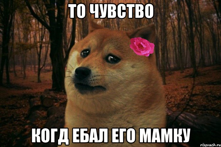 То чувство Когд ебал его мамку, Мем  SAD DOGE GIRL