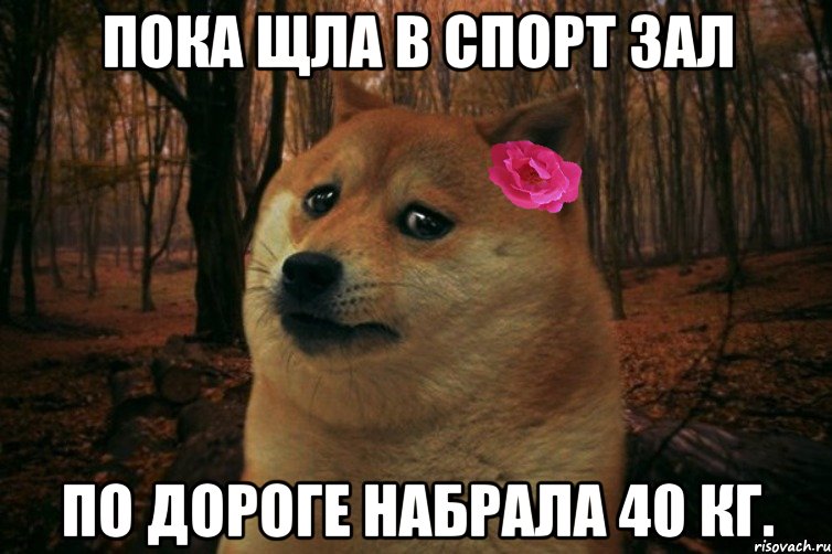 Пока щла в спорт зал По дороге набрала 40 КГ., Мем  SAD DOGE GIRL