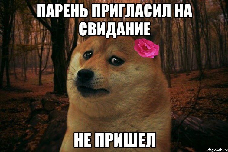 парень пригласил на свидание не пришел, Мем  SAD DOGE GIRL