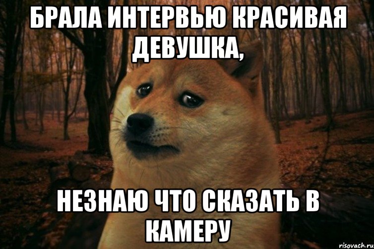 Брала интервью красивая девушка, незнаю что сказать в камеру, Мем SAD DOGE