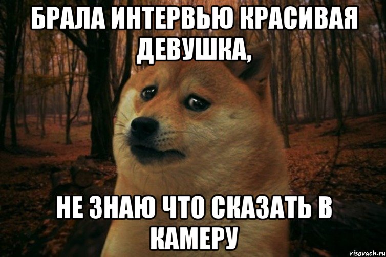 Брала интервью красивая девушка, не знаю что сказать в камеру, Мем SAD DOGE