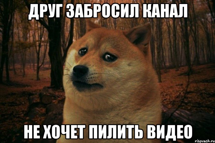 Друг забросил канал Не хочет пилить видео, Мем SAD DOGE