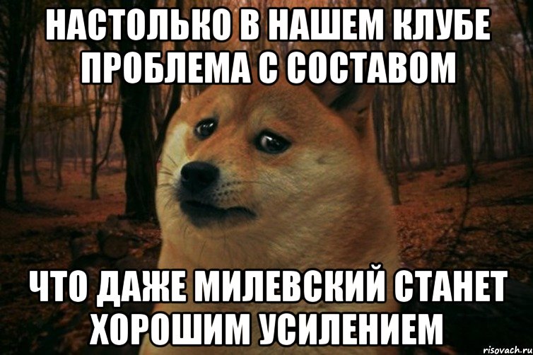 Настолько в нашем клубе проблема с составом что даже милевский станет хорошим усилением, Мем SAD DOGE