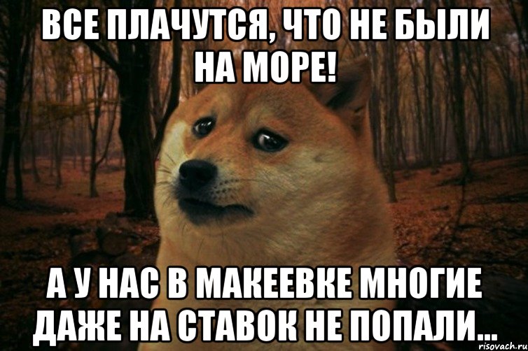 Все плачутся, что не были на море! А у нас в Макеевке многие даже на ставок не попали..., Мем SAD DOGE