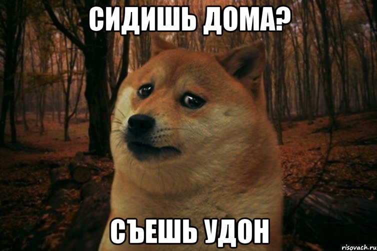 сидишь дома? съешь удон, Мем SAD DOGE