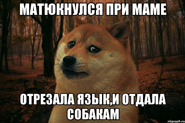 матюкнулся при маме отрезала язык,и отдала собакам, Мем SAD DOGE