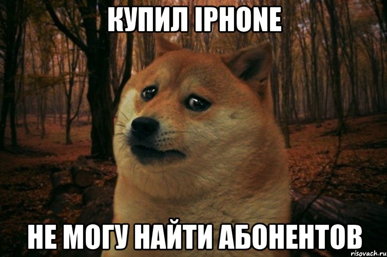 купил iphone не могу найти абонентов, Мем SAD DOGE