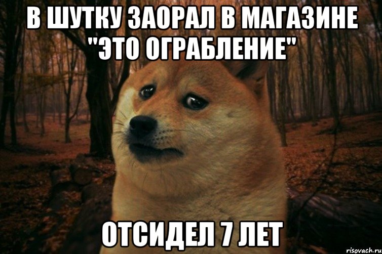 в шутку заорал в магазине "это ограбление" отсидел 7 лет, Мем SAD DOGE