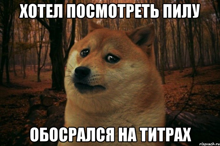 Хотел посмотреть пилу Обосрался на титрах, Мем SAD DOGE