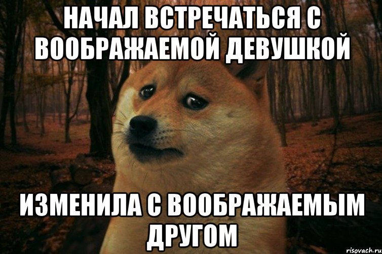 начал встречаться с воображаемой девушкой изменила с воображаемым другом, Мем SAD DOGE