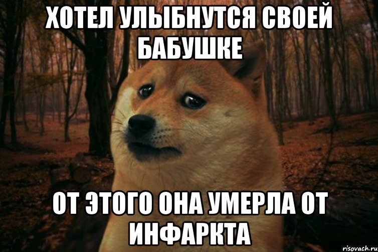 хотел улыбнутся своей бабушке от этого она умерла от инфаркта, Мем SAD DOGE