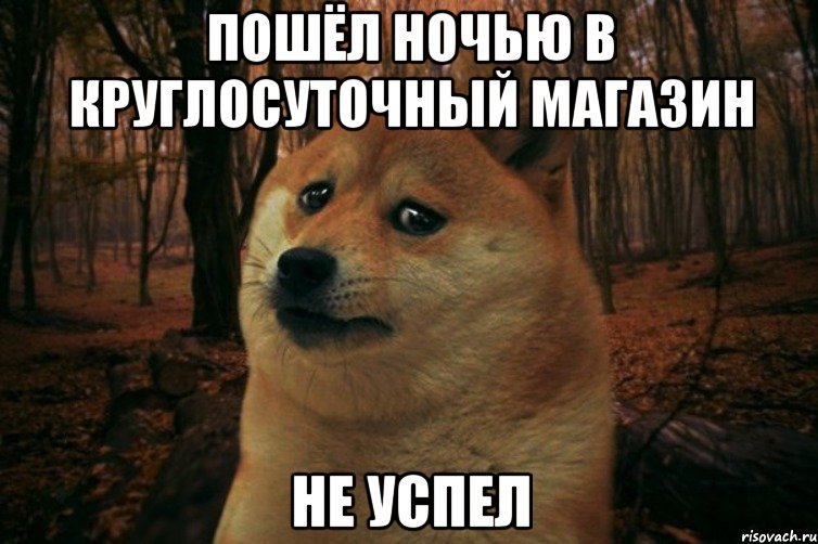 пошёл ночью в круглосуточный магазин не успел, Мем SAD DOGE