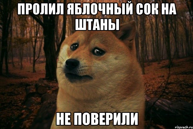 пролил яблочный сок на штаны не поверили, Мем SAD DOGE