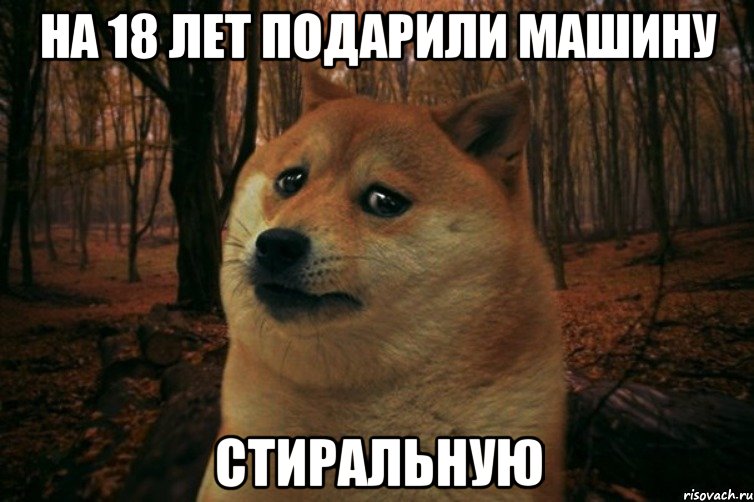 на 18 лет подарили машину стиральную, Мем SAD DOGE