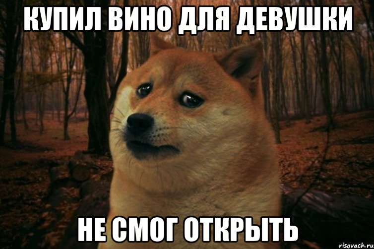 купил вино для девушки не смог открыть, Мем SAD DOGE