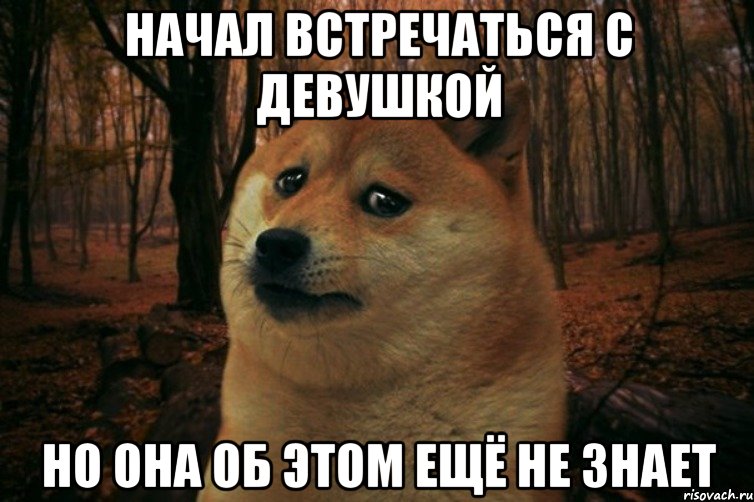 начал встречаться с девушкой но она об этом ещё не знает, Мем SAD DOGE