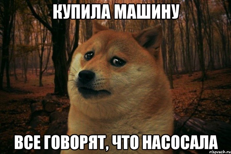 купила машину все говорят, что насосала, Мем SAD DOGE