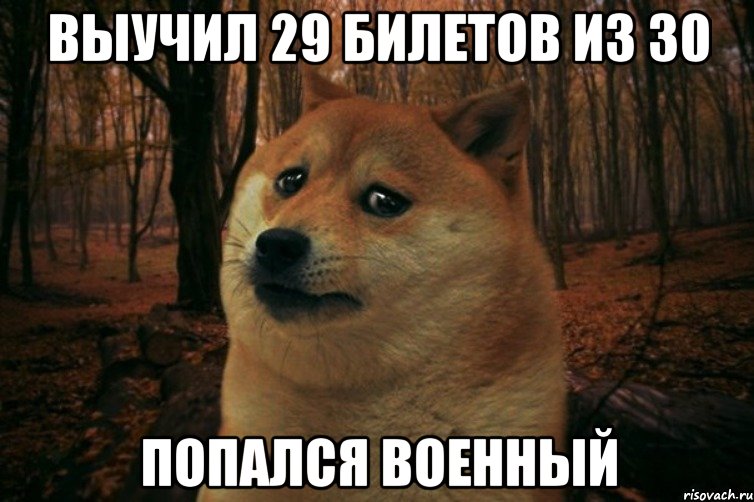 выучил 29 билетов из 30 попался военный, Мем SAD DOGE