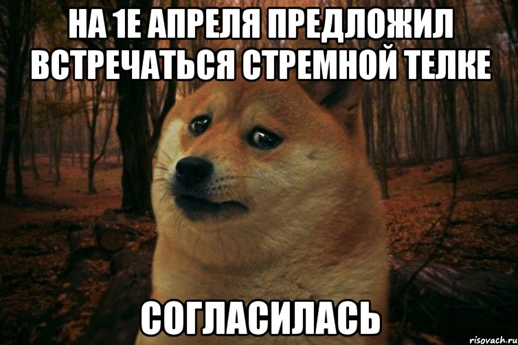 на 1е апреля предложил встречаться стремной телке согласилась, Мем SAD DOGE