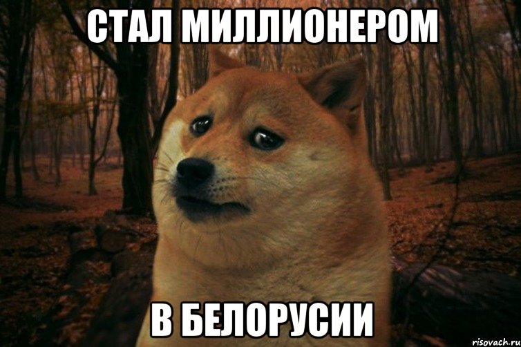 стал миллионером в белорусии, Мем SAD DOGE