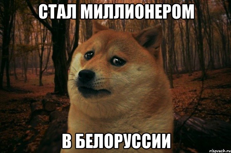 стал миллионером в белоруссии, Мем SAD DOGE