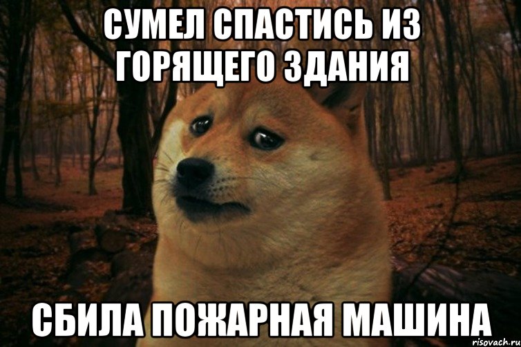 сумел спастись из горящего здания сбила пожарная машина, Мем SAD DOGE