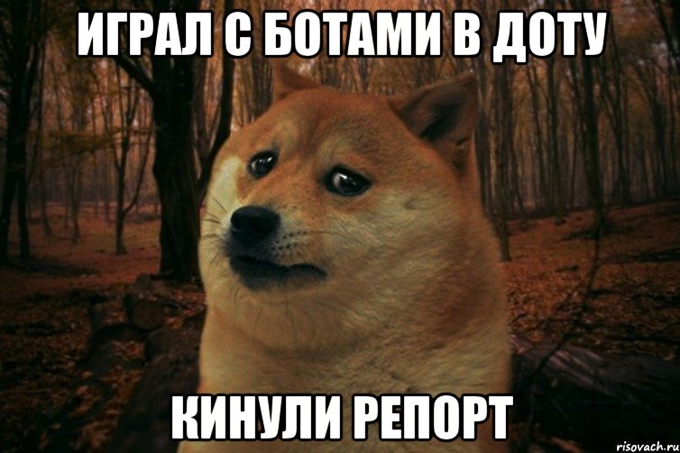 играл с ботами в доту кинули репорт, Мем SAD DOGE