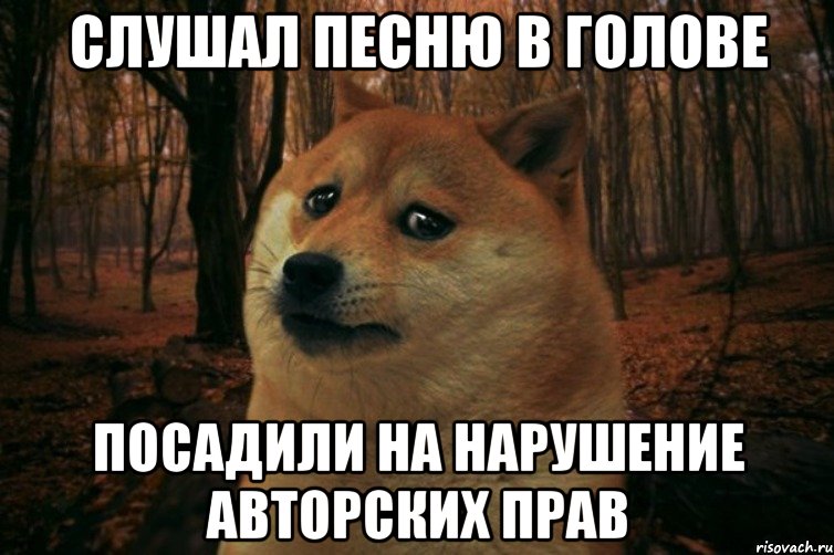 слушал песню в голове посадили на нарушение авторских прав, Мем SAD DOGE