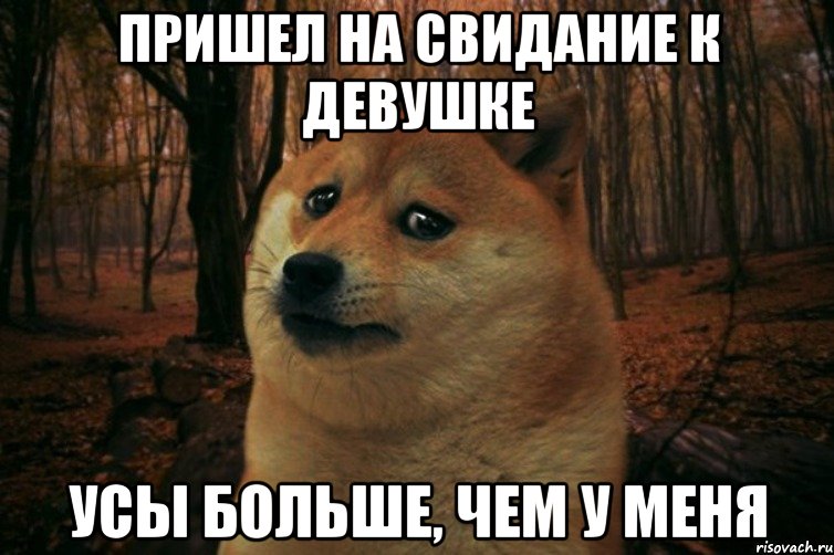 пришел на свидание к девушке усы больше, чем у меня, Мем SAD DOGE