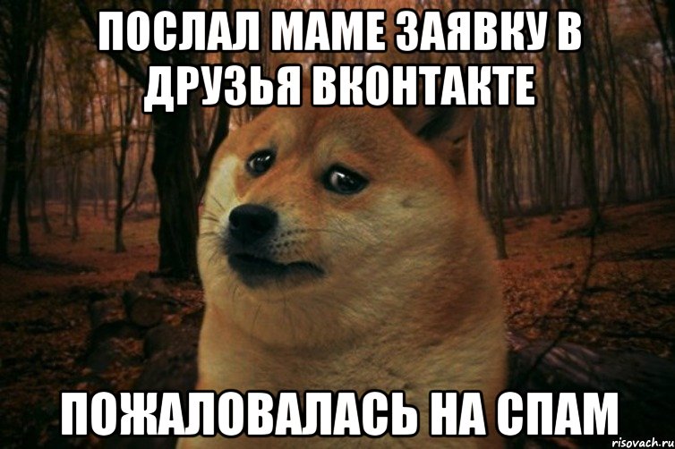 послал маме заявку в друзья вконтакте пожаловалась на спам, Мем SAD DOGE