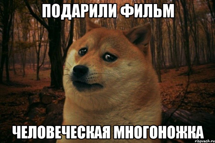 подарили фильм человеческая многоножка, Мем SAD DOGE