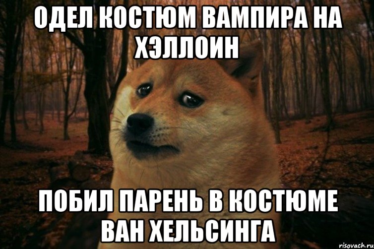 одел костюм вампира на хэллоин побил парень в костюме ван хельсинга, Мем SAD DOGE