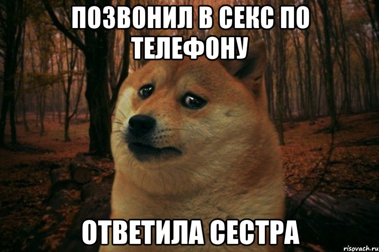 позвонил в секс по телефону ответила сестра, Мем SAD DOGE